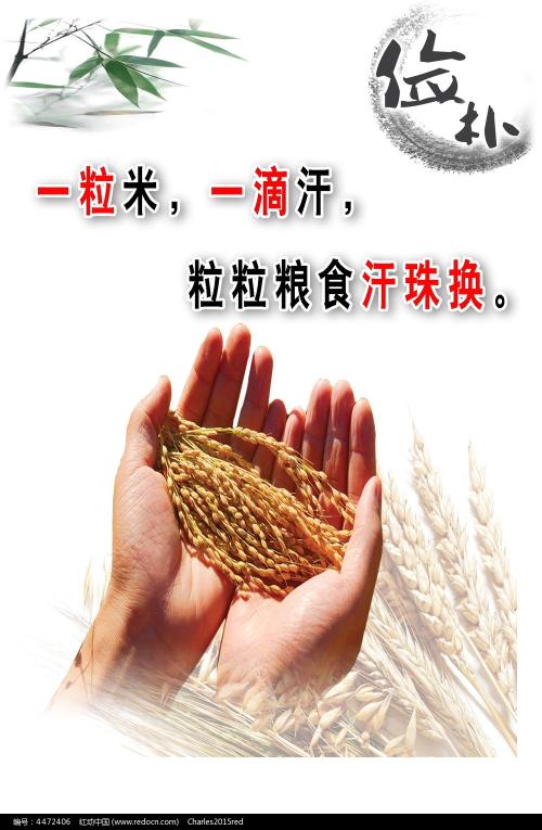 办假的法国护照电子版